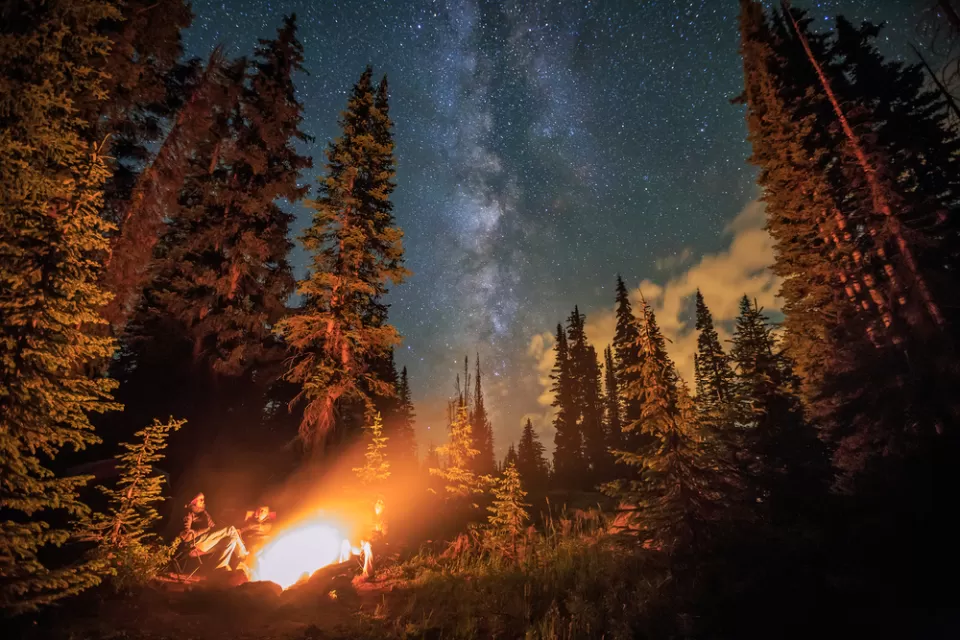 A campfire in the wilderness, surrounded by a group of people, burns with the stars overhead.